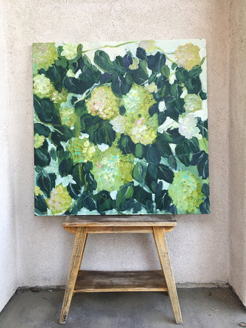 Hydrangea bush