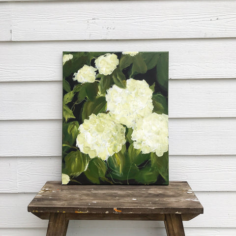 white hydrangeas