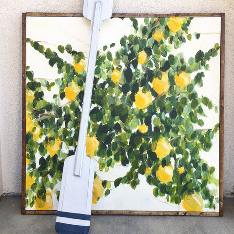 Lemon tree branch