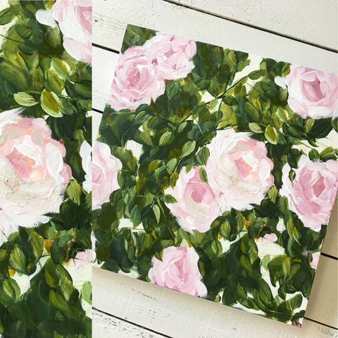 Garden roses