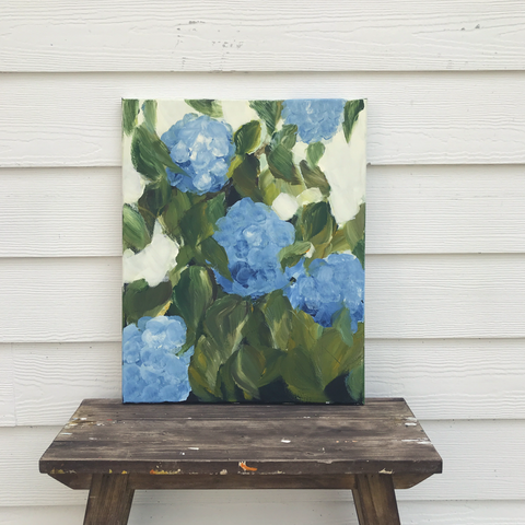 blue hydrangeas