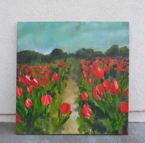 red tulip field