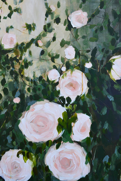 Rose Garden